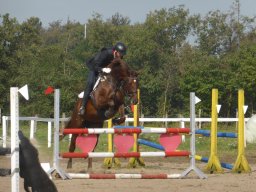 10649550_10203920349941493_70881468131065096_n